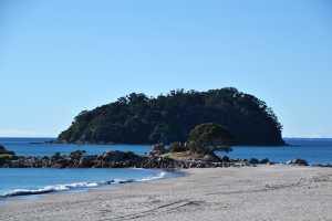 MT-MAUNGANUI(019)